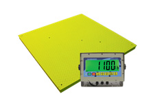 Floor Scales 1